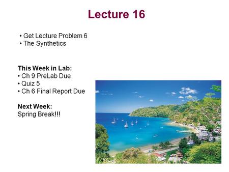 Lecture 16 Get Lecture Problem 6 The Synthetics This Week in Lab: