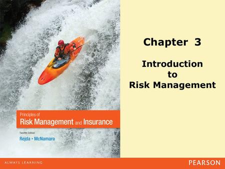 Chapter 3 Introduction to Risk Management