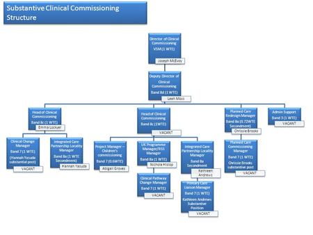 Substantive Clinical Commissioning Structure Director of Clinical Commissioning VSM (1 WTE) Joseph McEvoy Deputy Director of Clinical Commissioning Band.