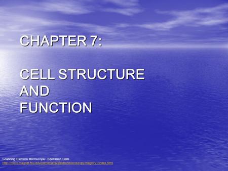 CHAPTER 7: CELL STRUCTURE AND FUNCTION