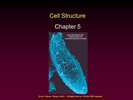 Raven - Johnson - Biology: 6th Ed. - All Rights Reserved - McGraw Hill Companies Cell Structure Chapter 5 Copyright © McGraw-Hill Companies Permission.