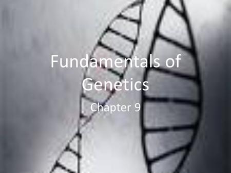 Fundamentals of Genetics