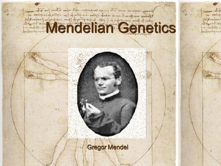 Mendelian Genetics Gregor Mendel Introduction Genetics is the study of heredityGenetics is the study of heredity Gregor Mendel used mathematics to study.