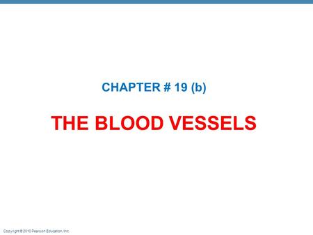 Copyright © 2010 Pearson Education, Inc. THE BLOOD VESSELS CHAPTER # 19 (b)