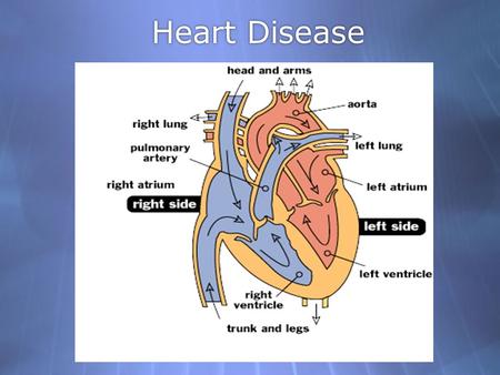 Heart Disease.  Heart disease is the No. 1 killer of women yet only 8% of American women realize it is a greater threat than cancer  A woman has a 50%