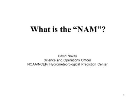 1 What is the “NAM”? David Novak Science and Operations Officer NOAA/NCEP/ Hydrometeorological Prediction Center.