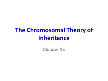 The Chromosomal Theory of Inheritance