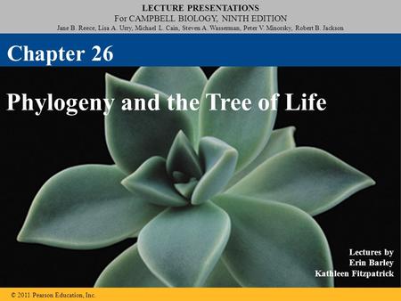 LECTURE PRESENTATIONS For CAMPBELL BIOLOGY, NINTH EDITION Jane B. Reece, Lisa A. Urry, Michael L. Cain, Steven A. Wasserman, Peter V. Minorsky, Robert.