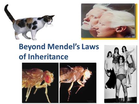 Beyond Mendel’s Laws of Inheritance