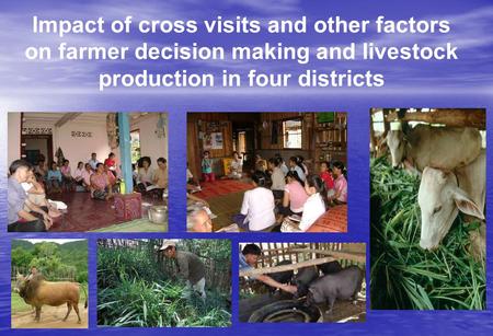 Impact of cross visits and other factors on farmer decision making and livestock production in four districts.