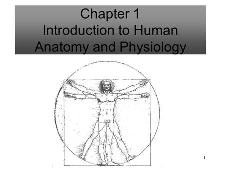 1 Chapter 1 Introduction to Human Anatomy and Physiology.