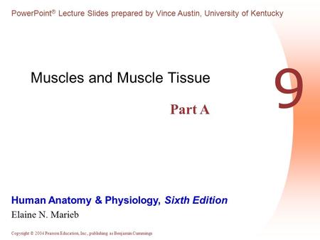 Copyright © 2004 Pearson Education, Inc., publishing as Benjamin Cummings Human Anatomy & Physiology, Sixth Edition Elaine N. Marieb PowerPoint ® Lecture.