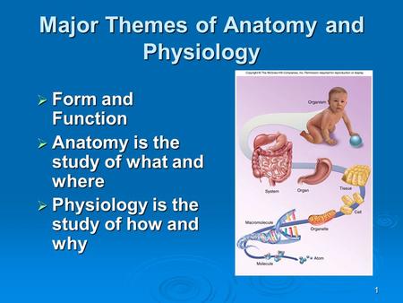 1 Major Themes of Anatomy and Physiology  Form and Function  Anatomy is the study of what and where  Physiology is the study of how and why.