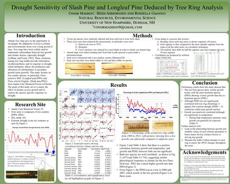 Conclusion Acknowledgements Preliminary results from this study showed that: The two Pine species show similar growth trends, with the most dominant species.