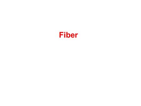 Fiber.