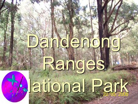 Dandenong Ranges National Park. The Map Key: Dandenong Ranges National Dandenong Ranges National Park Park Silvan Reservoir (dam) Silvan Reservoir (dam)