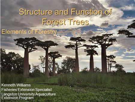 Structure and Function of Forest Trees Kenneth Williams Fisheries Extension Specialist Langston University Aquaculture Extension Program Elements of Forestry.