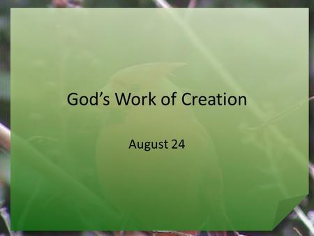 God’s Work of Creation August 24. What about you … What have you always wanted to make but never tried? We are creative because we are made in the image.