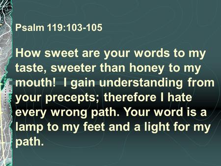 Psalm 119:103-105  How sweet are your words to my taste, sweeter than honey to my mouth! I gain understanding from your precepts; therefore I hate every.