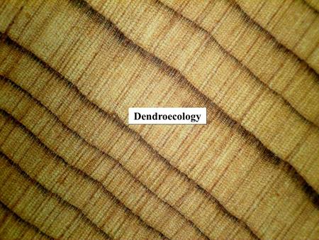 Dendroecology. Dendroecology uses dated tree rings to study ecological events such as fire and insect outbreaks Was developed by Theodor Hartig and Robert.