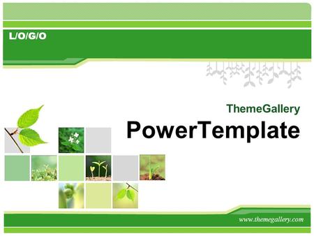 ThemeGallery PowerTemplate