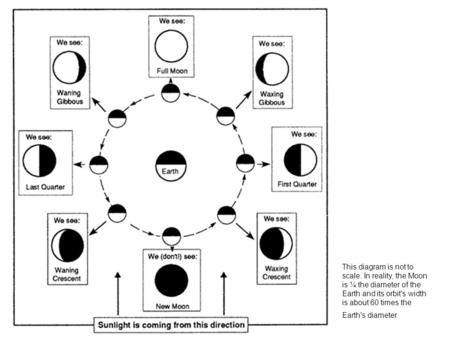 This diagram is not to scale. In reality, the Moon is ¼ the diameter of the Earth and its orbit's width is about 60 times the Earth's diameter.