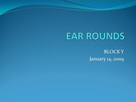 BLOCK Y January 14, 2009. NAKAMURA, H. Y.; LIMA, M. C. M. P; GONÇALVES, V. M. G. Sonar System- digital sounds of instruments for behavior hearing tests.