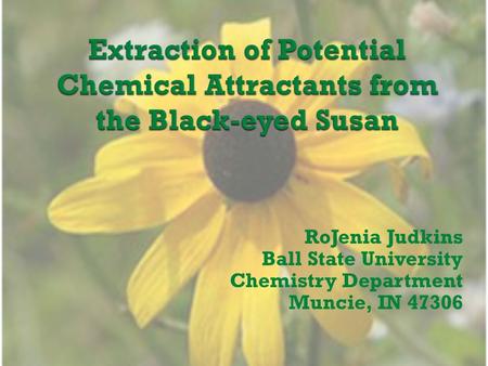 RoJenia Judkins Ball State University Chemistry Department Muncie, IN 47306.