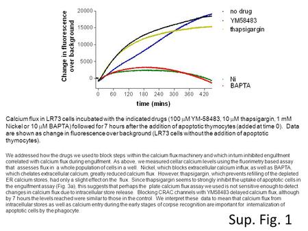 We addressed how the drugs we used to block steps within the calcium flux machinery and which in turn inhibited engulfment correlated with calcium flux.