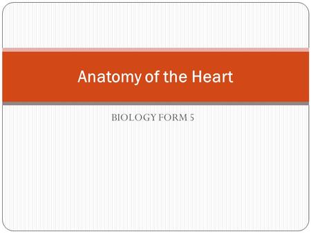 Anatomy of the Heart BIOLOGY FORM 5.