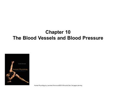 The Blood Vessels and Blood Pressure