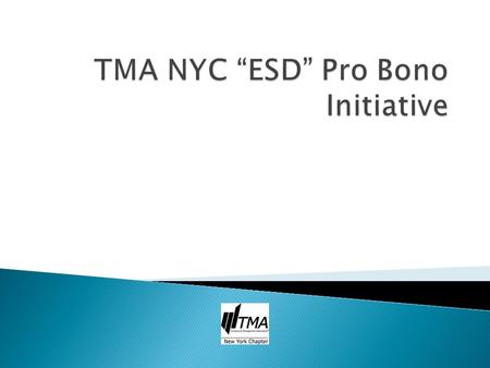 Overview:  Promotes public/private interaction and cooperation via support of The Empire State Development Agency Mentor/Mentee program;  TMA NYC members.