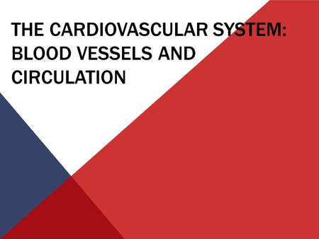 The Cardiovascular System: Blood Vessels and Circulation