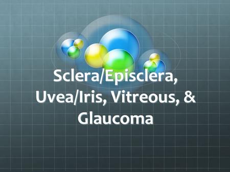 Sclera/Episclera, Uvea/Iris, Vitreous, & Glaucoma.