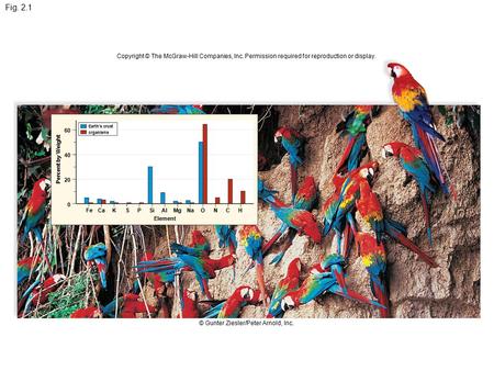 60 40 20 0 FeCaKSPSiAlMgNaONCH Earth’s crust organisms Element Percent by Weight Copyright © The McGraw-Hill Companies, Inc. Permission required for reproduction.