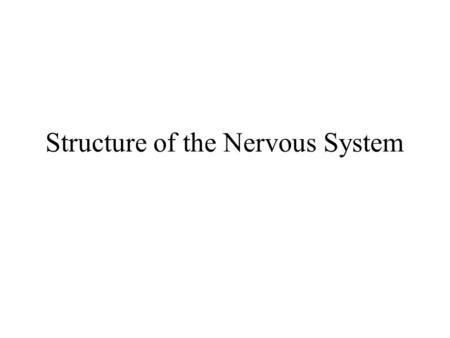 Structure of the Nervous System. The Central nervous System (CNS) Parts of the nervous system that are encased in bone 1.Brain 2.Spinal Cord.