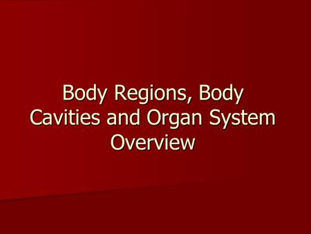 Body Regions, Body Cavities and Organ System Overview