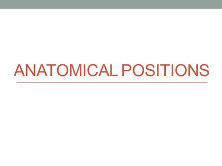 ANATOMICAL POSITIONS. Anatomical Position Anatomical position Body erect with feet together Arms at side with palms forward The anatomical position is.