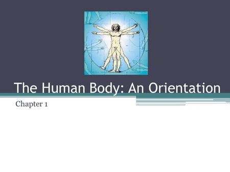 The Human Body: An Orientation