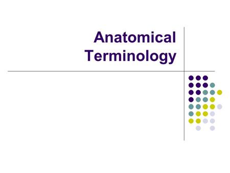 Anatomical Terminology. Anatomical Position Arms down by side Palms up Head and eyes forward Legs parallel, feet together.