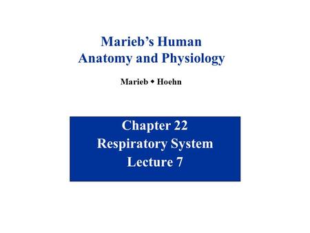 Chapter 22 Respiratory System Lecture 7