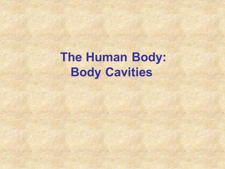 The Human Body: Body Cavities