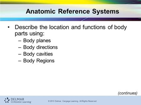 Anatomic Reference Systems