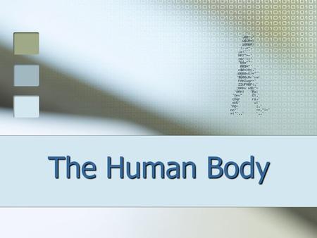 The Human Body.