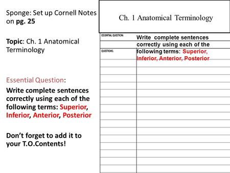 Ch. 1 Anatomical Terminology