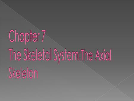  Axial Skeleton › 80 bones › lie along longitudinal axis › skull, hyoid, vertebrae, ribs, sternum, ear ossicles  Appendicular Skeleton › 126 bones ›