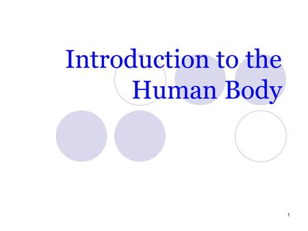 Introduction to the Human Body