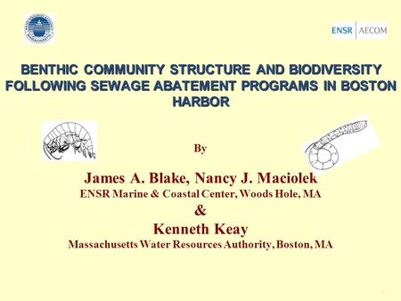 1 BENTHIC COMMUNITY STRUCTURE AND BIODIVERSITY FOLLOWING SEWAGE ABATEMENT PROGRAMS IN BOSTON HARBOR BENTHIC COMMUNITY STRUCTURE AND BIODIVERSITY FOLLOWING.