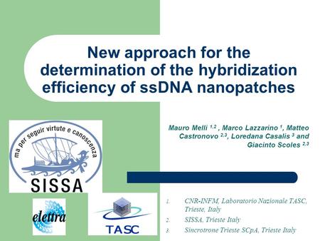 New approach for the determination of the hybridization efficiency of ssDNA nanopatches 1. CNR-INFM, Laboratorio Nazionale TASC, Trieste, Italy 2. SISSA,