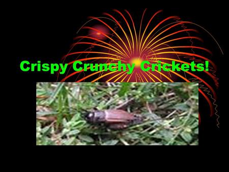 Crispy Crunchy Crickets!. Target Market Chocolate Crickets Demographic-Children Aged 4-13 Behavioral- Halloween candy item to buy. Psychographics- People.